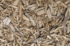 biomass boilers Lustleigh
