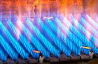 Lustleigh gas fired boilers